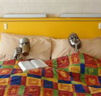 Budget Winchester Motel - Moree - Your Accommodation