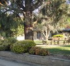 Hamilton Hume Motor Inn - Yass - Your Accommodation
