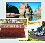 Red Gum Tourist Park - Your Accommodation