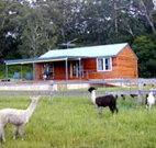 Moorallie Cottage Farm Stay