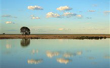 Valley View Cottage Hunter Valley - Your Accommodation 4
