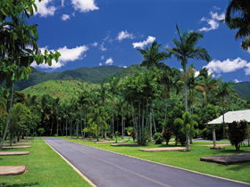 BIG4 Cairns Crystal Cascades Holiday Park - Your Accommodation 1