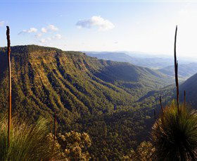 O'Reilly's Rainforest Retreat - Your Accommodation 3