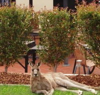 Alpha Canberra Hotel and Apartments - Your Accommodation