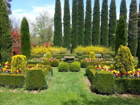 Southdown Cottage Bowral - Your Accommodation 6