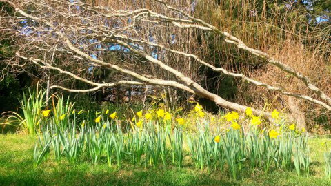 Southdown Cottage Bowral - Your Accommodation 7