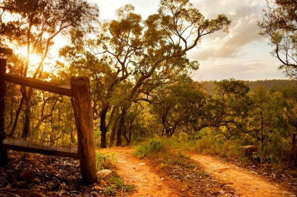 Blaxlands Ridge NSW Your Accommodation