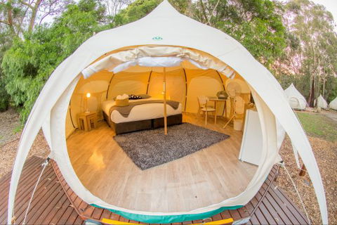 Yarra Valley Park Lane Glamping Belle Tents - Your Accommodation 8