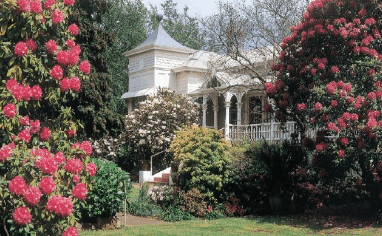 Anabel's of Scottsdale - Your Accommodation