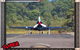 JetFighter - thumb 2