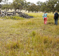 Carnarvon National Park camping - Your Accommodation