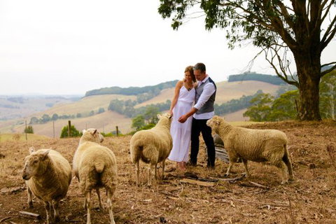 Halcyon Cottage Retreat - Self Contained Accommodation - Your Accommodation 2