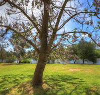 Breakaway Twin Rivers Caravan Park - Your Accommodation