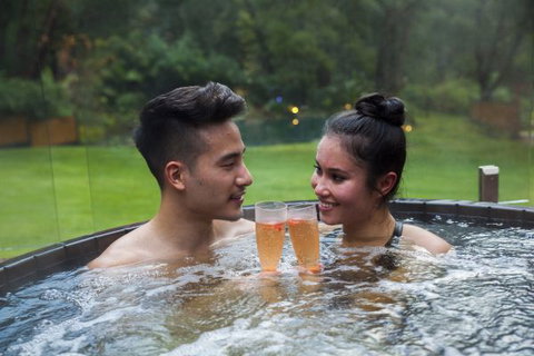 Japanese Mountain Retreat Mineral Springs & Spa - Your Accommodation 3