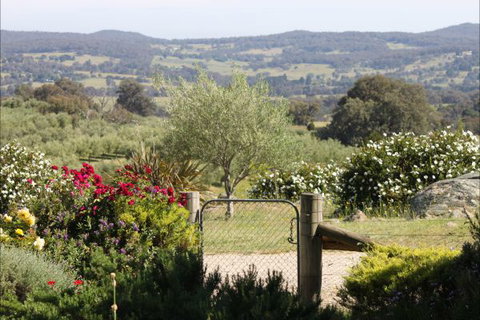L'Oliveraie - Your Accommodation 1