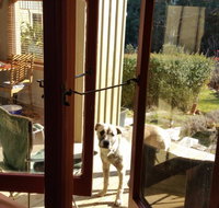 Mara Ponds Branxholm - Your Accommodation