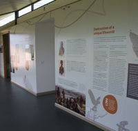 Whitestone Apartments - Your Accommodation