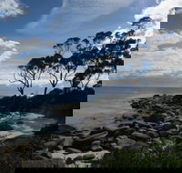 Binalong Bay Beach Shack - Your Accommodation