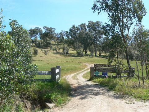 Gaddleen Grove Cottages - Your Accommodation 3