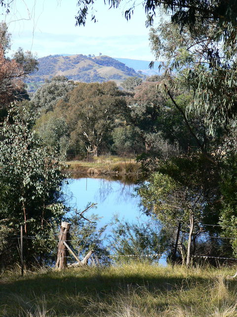 Gaddleen Grove Cottages - Your Accommodation 6