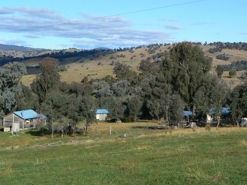 Gaddleen Grove Cottages - Your Accommodation 7