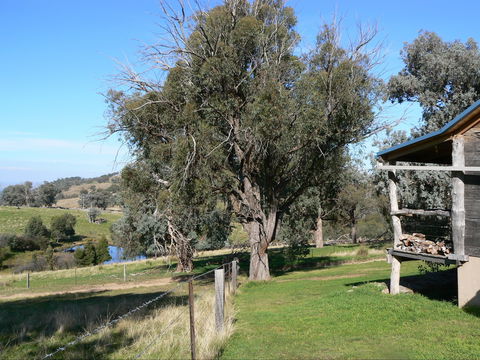Gaddleen Grove Cottages - Your Accommodation 9