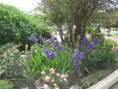 Garden Motor Inn (Golden Chain) - Your Accommodation 7