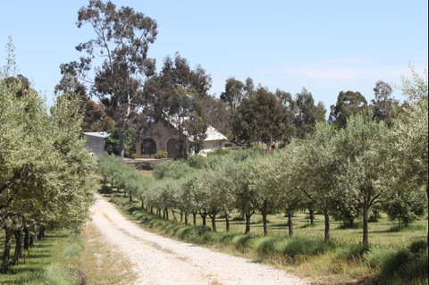 L'Oliveraie - Your Accommodation 2