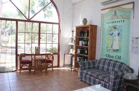 L'Oliveraie - Your Accommodation 8