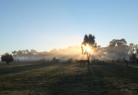Mackereth's Hedon Farm - Your Accommodation 1