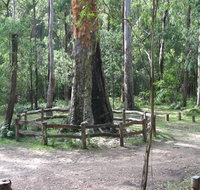 Six Mile Creek campground - Your Accommodation