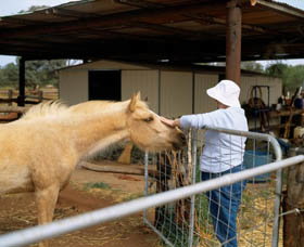 East Murchison WA Your Accommodation