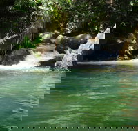 Daintree Secrets Rainforest Sanctuary