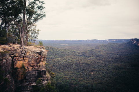 Sandstone Park Carnarvon Gorge - Your Accommodation 1