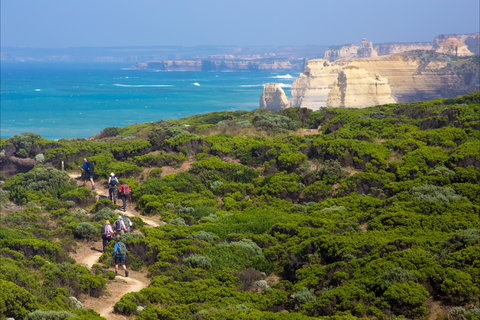 Twelve Apostles Lodge Walk - Your Accommodation 0