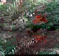 Woodlands Rainforest Retreat - Your Accommodation