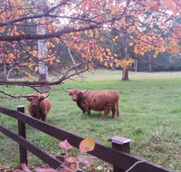 Dingley Dell - Your Accommodation