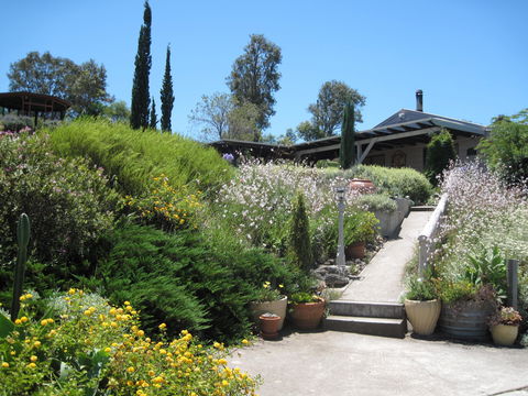 Valley View Cottage Hunter Valley - Your Accommodation 0
