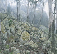 Waratah Gully campground - Your Accommodation
