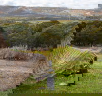 131 - Heart of the Vale