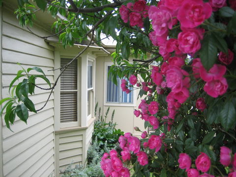 Valley Views Bed And Breakfast - Your Accommodation 0