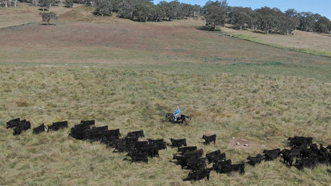 Waterloo Station - Your Accommodation 2