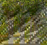 Stringybark Cottages - Your Accommodation