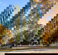 Omeo Caravan Park - Your Accommodation