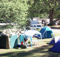 Black Spur Motel and Caravan Park - Your Accommodation