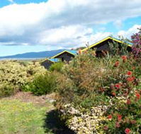 Black Cockatoo Cottages