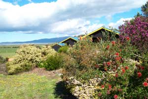 Black Cockatoo Cottages - Your Accommodation 0