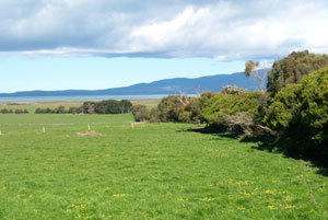 Black Cockatoo Cottages - Your Accommodation 5