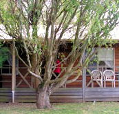 BIG4 Ballarat Windmill Holiday Park - Your Accommodation