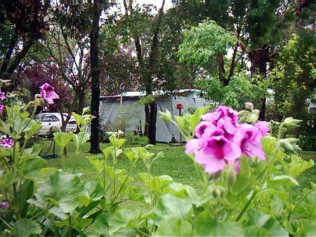 Beach Park Tourist Caravan Park - Your Accommodation 2